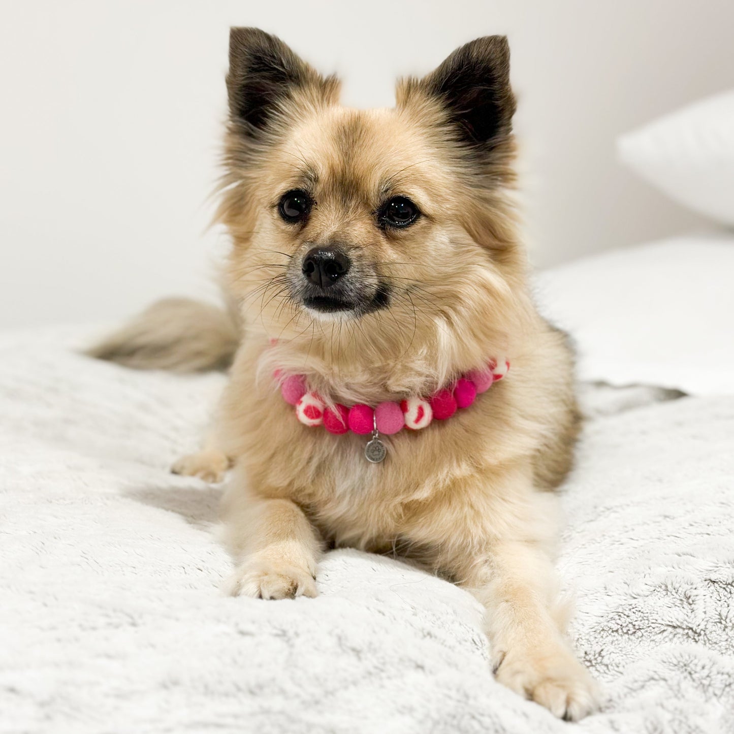 Pink Leopard Pom Pom Collar