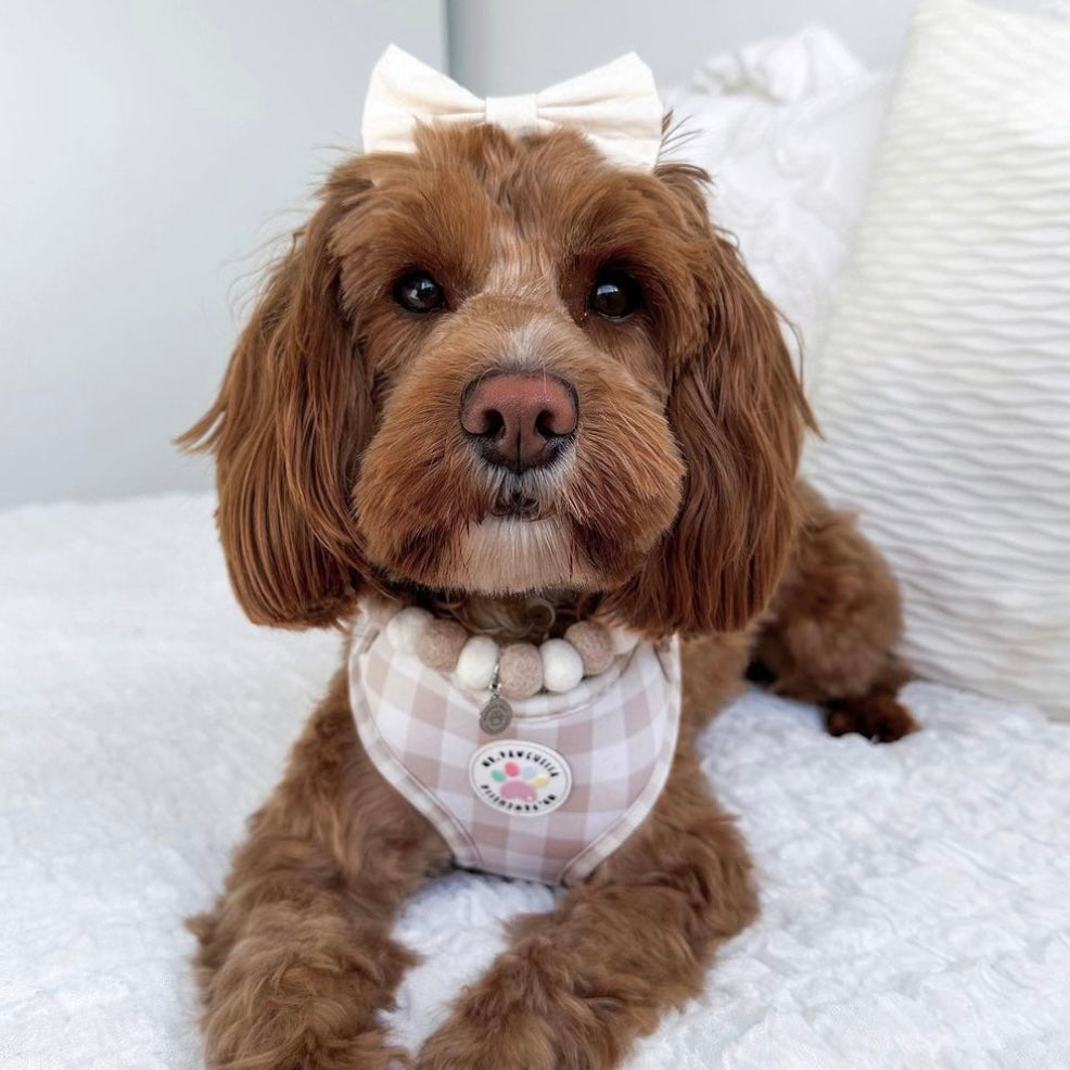 Puppuccino Pom Pom Collar Necklace