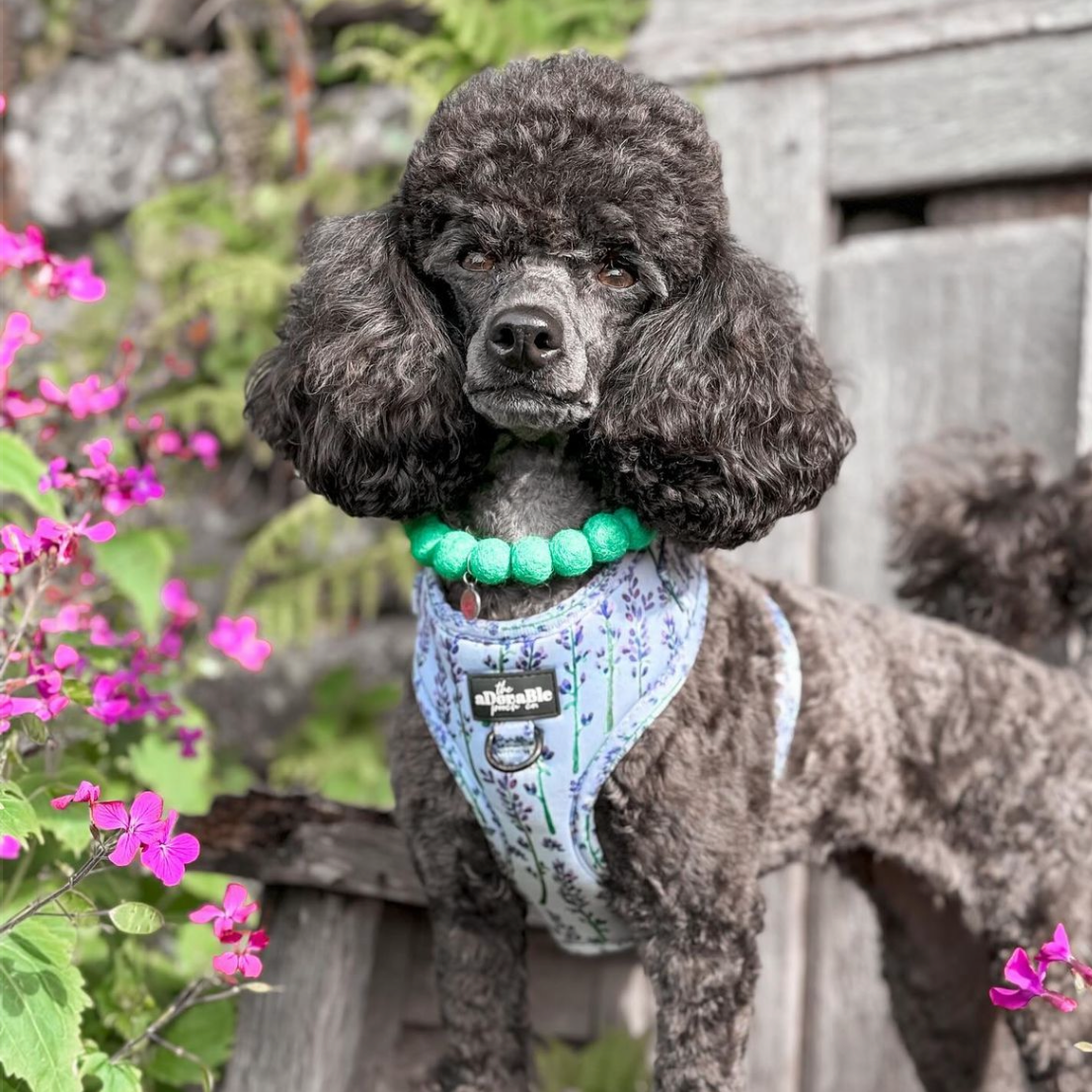 Forest Green Pom Pom Collar