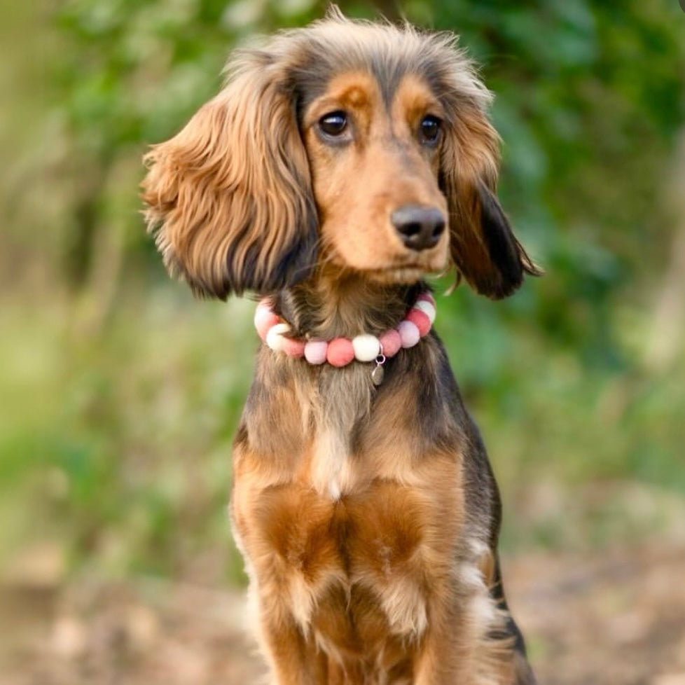 Blush Blossom Pom Pom Collar