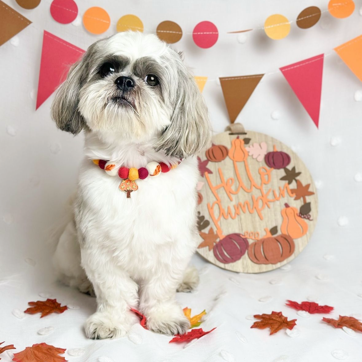 Autumn Leaves Pom Pom Collar