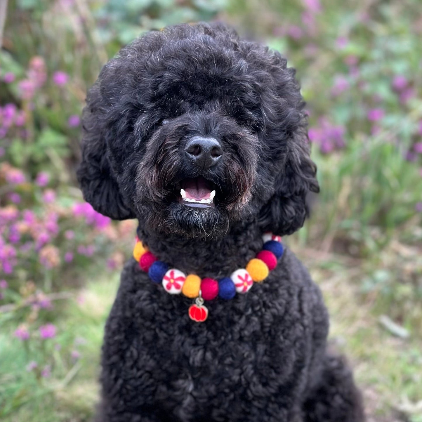 Autumn Flowers Pom Pom Collar