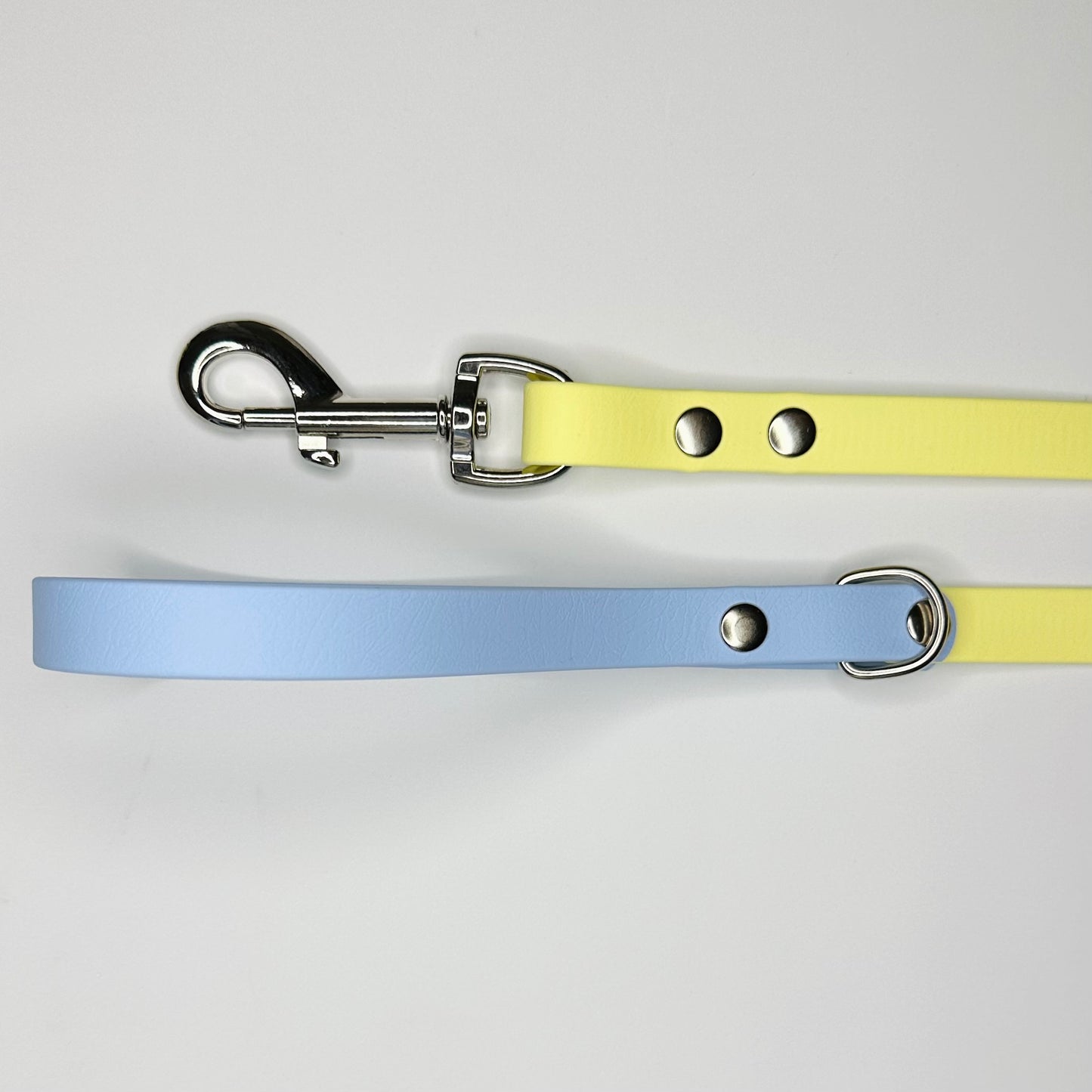 Custom Biothane Dog Lead