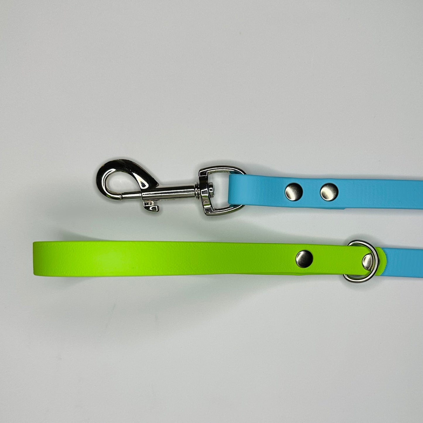 Custom Biothane Dog Lead