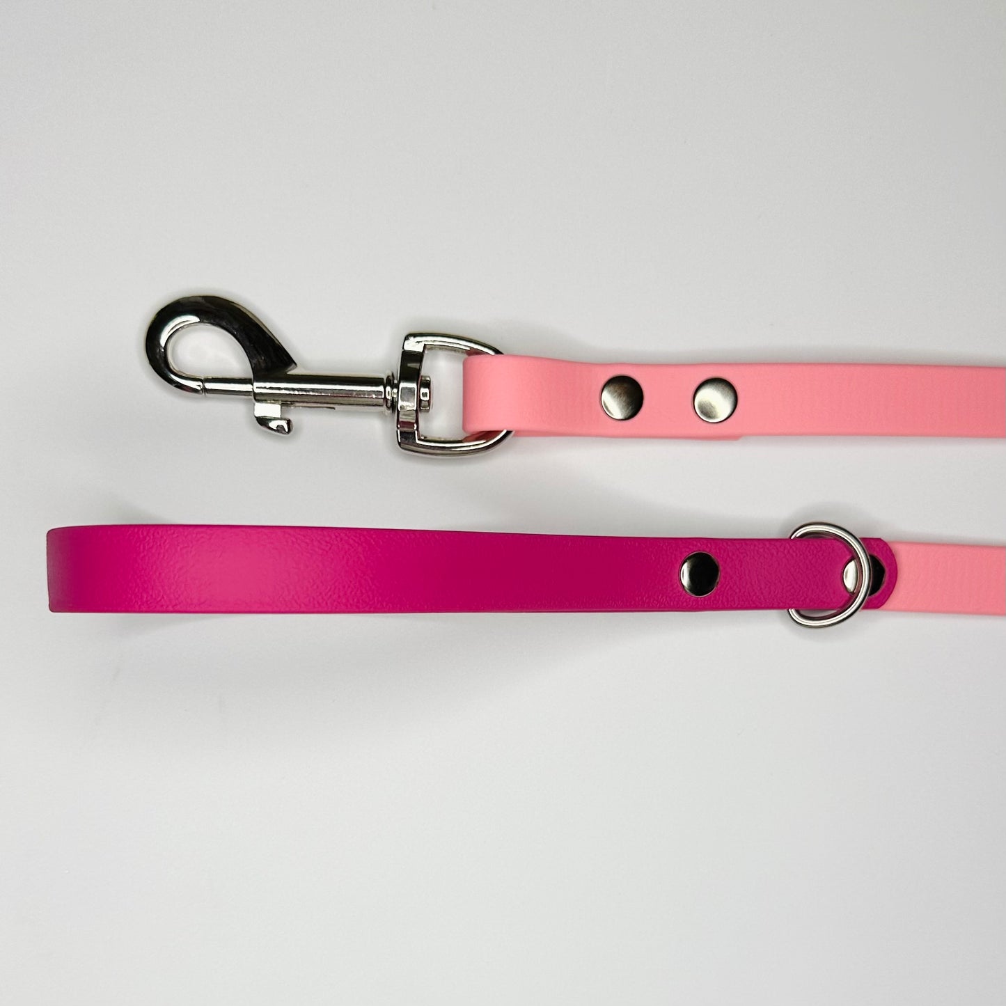 Custom Biothane Dog Lead