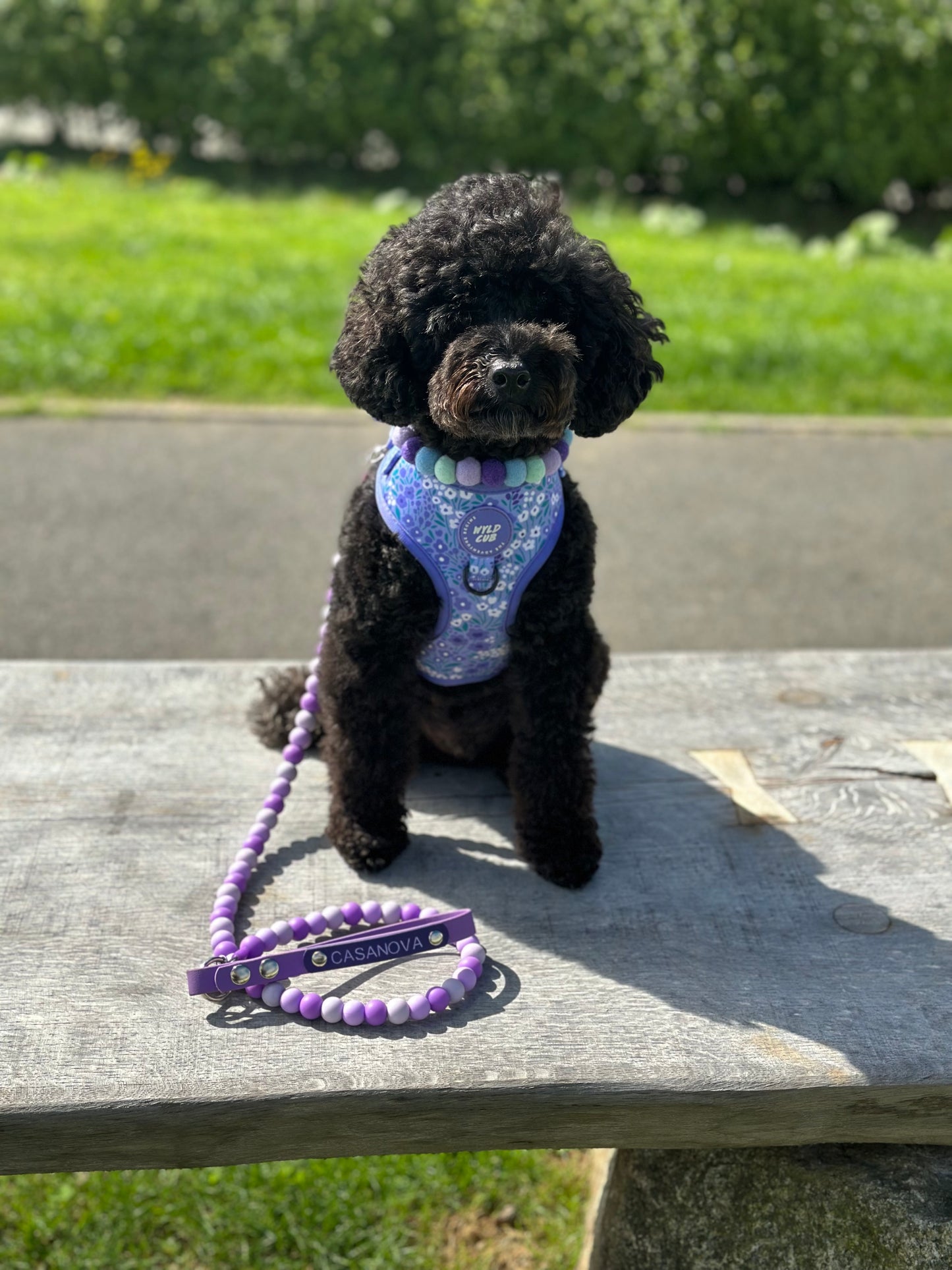 Pisces Pom Pom Collar