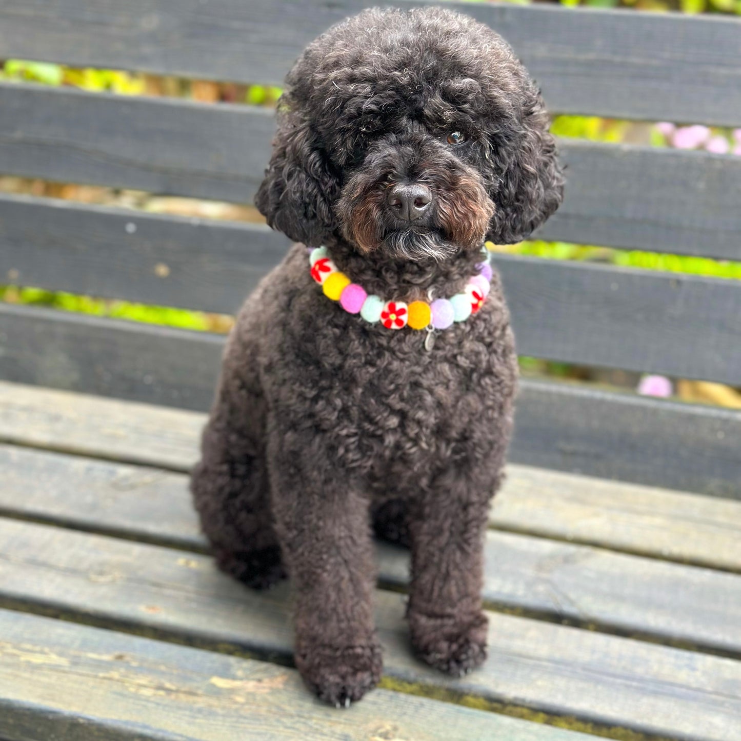 Field of Flowers Pom Pom Collar