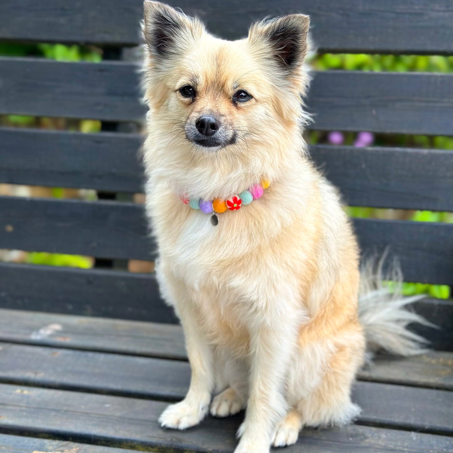 Field of Flowers Pom Pom Collar