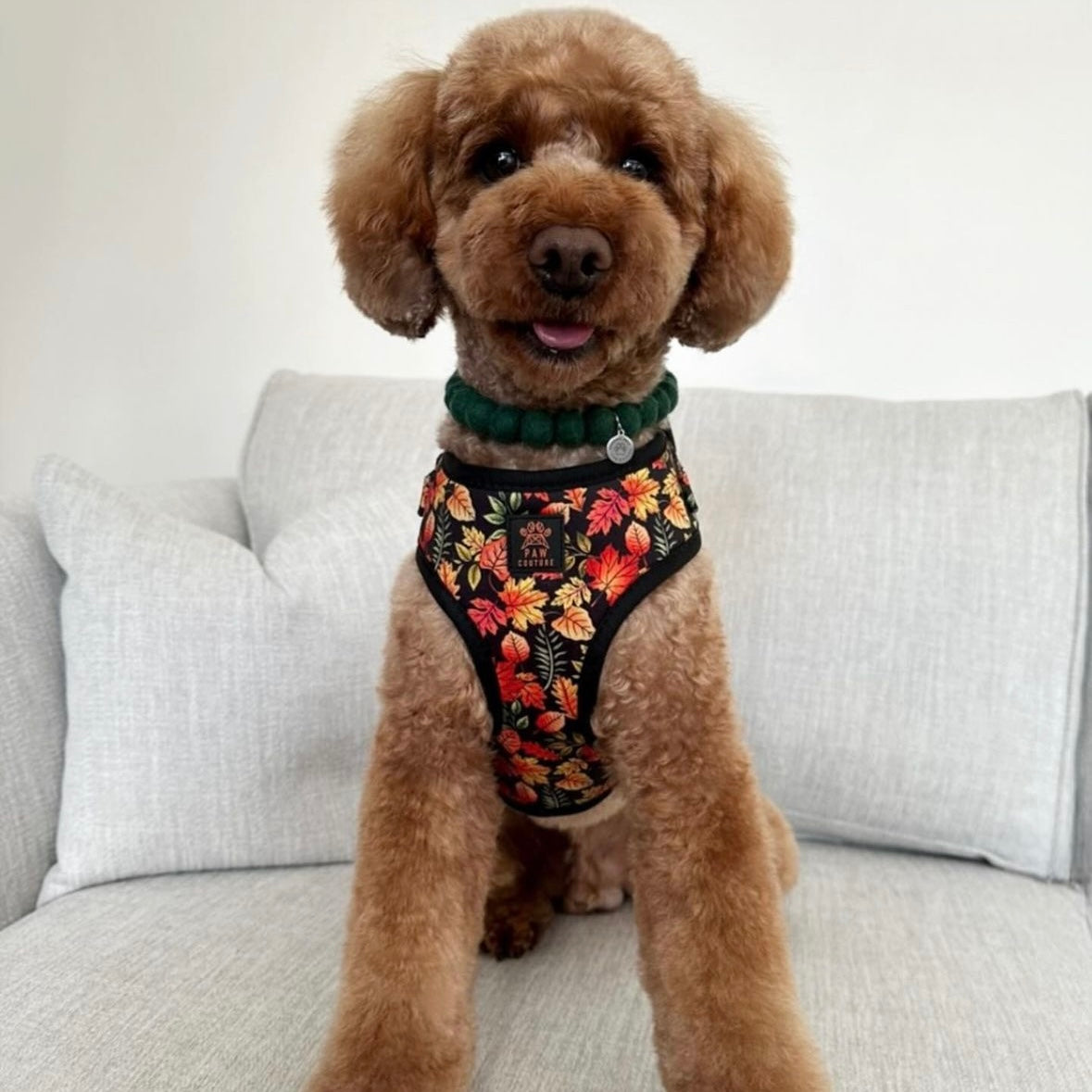 Emerald Autumn Pom Pom Collar