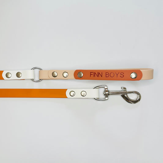 Custom Biothane Dog Lead