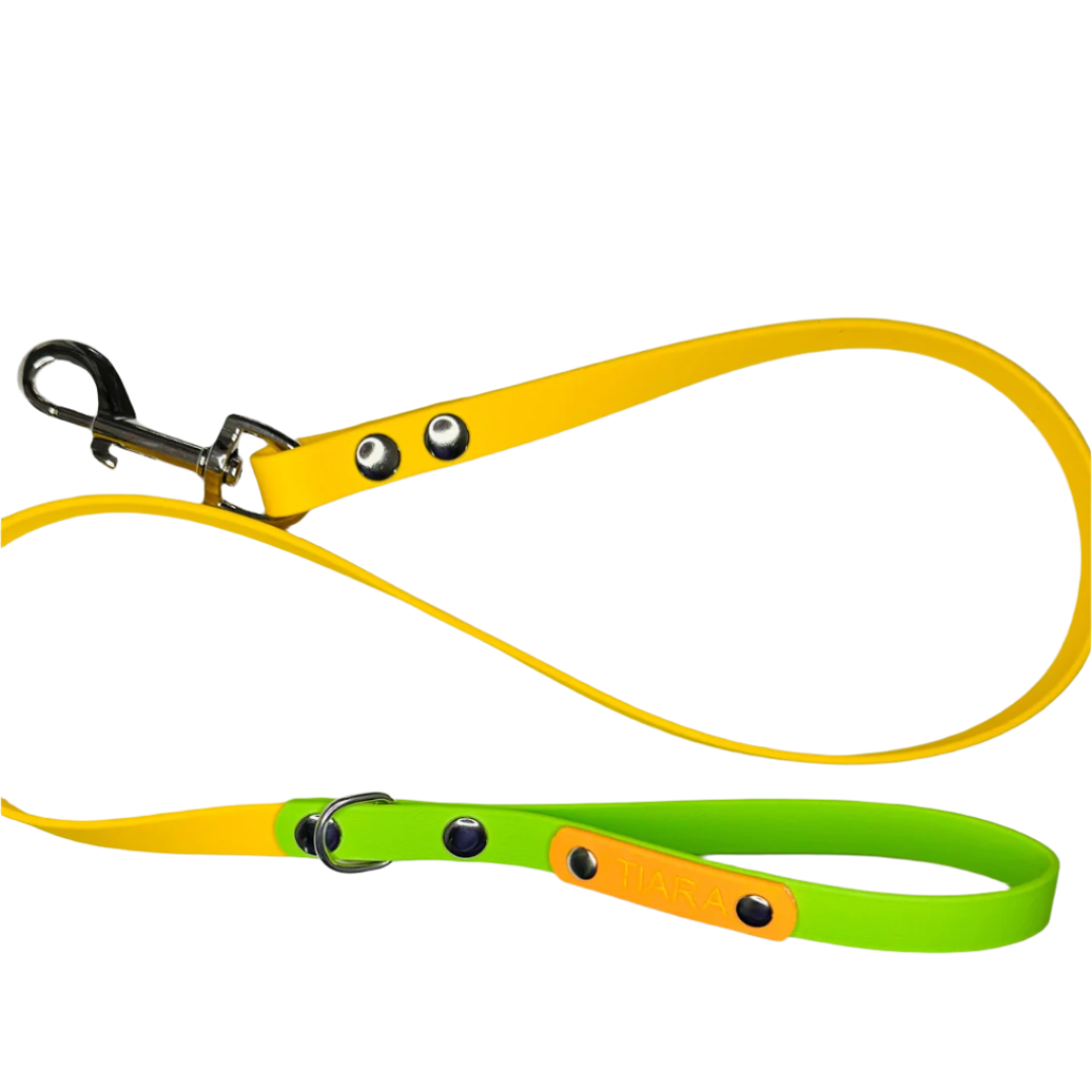 Custom Biothane Dog Lead