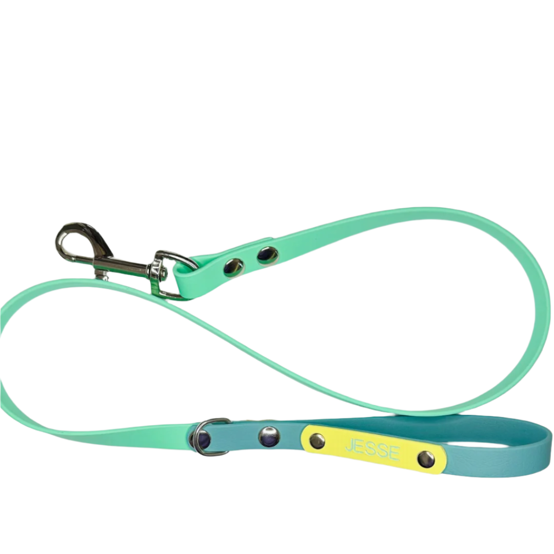 Custom Biothane Dog Lead