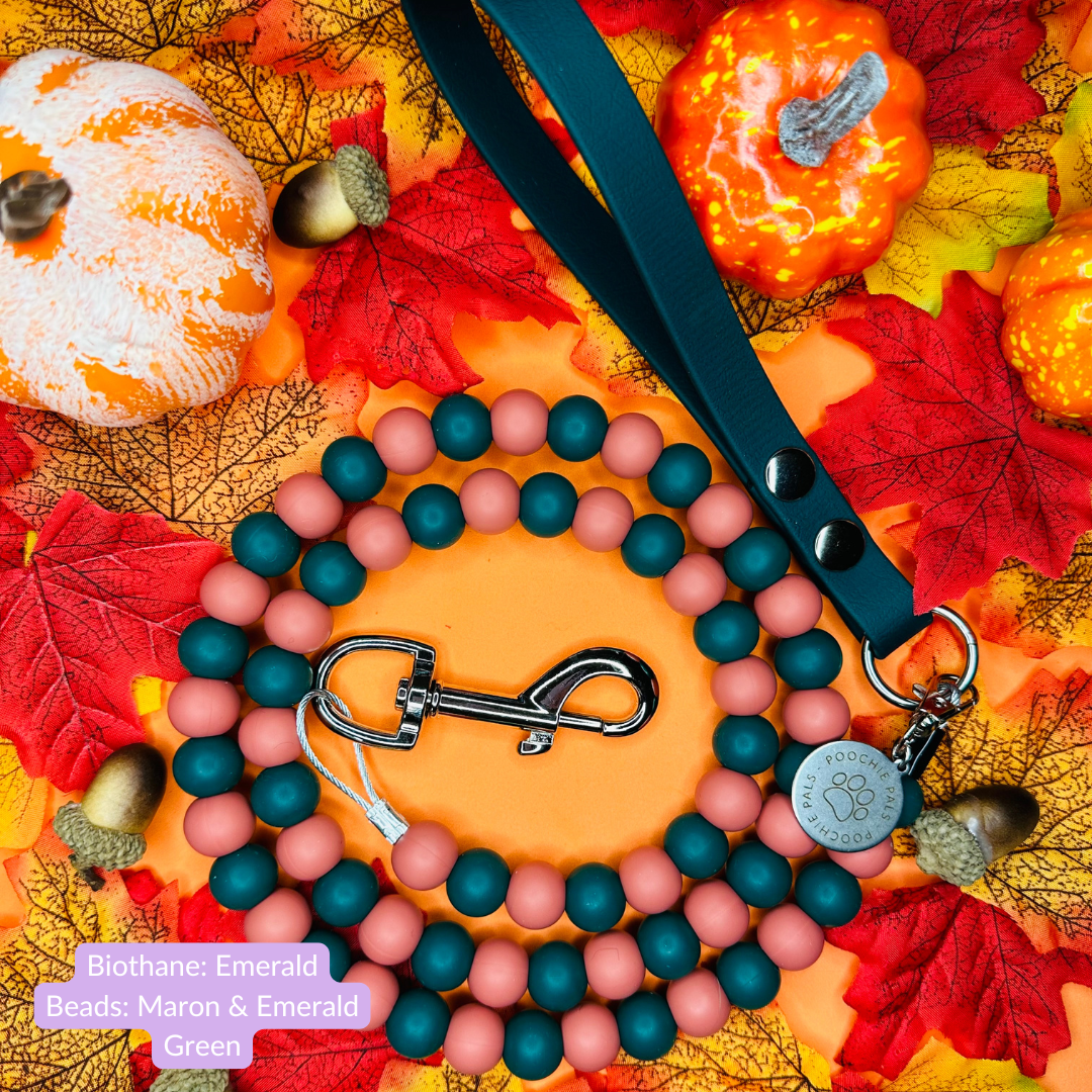 Autumn Biothane Beaded Dog Lead