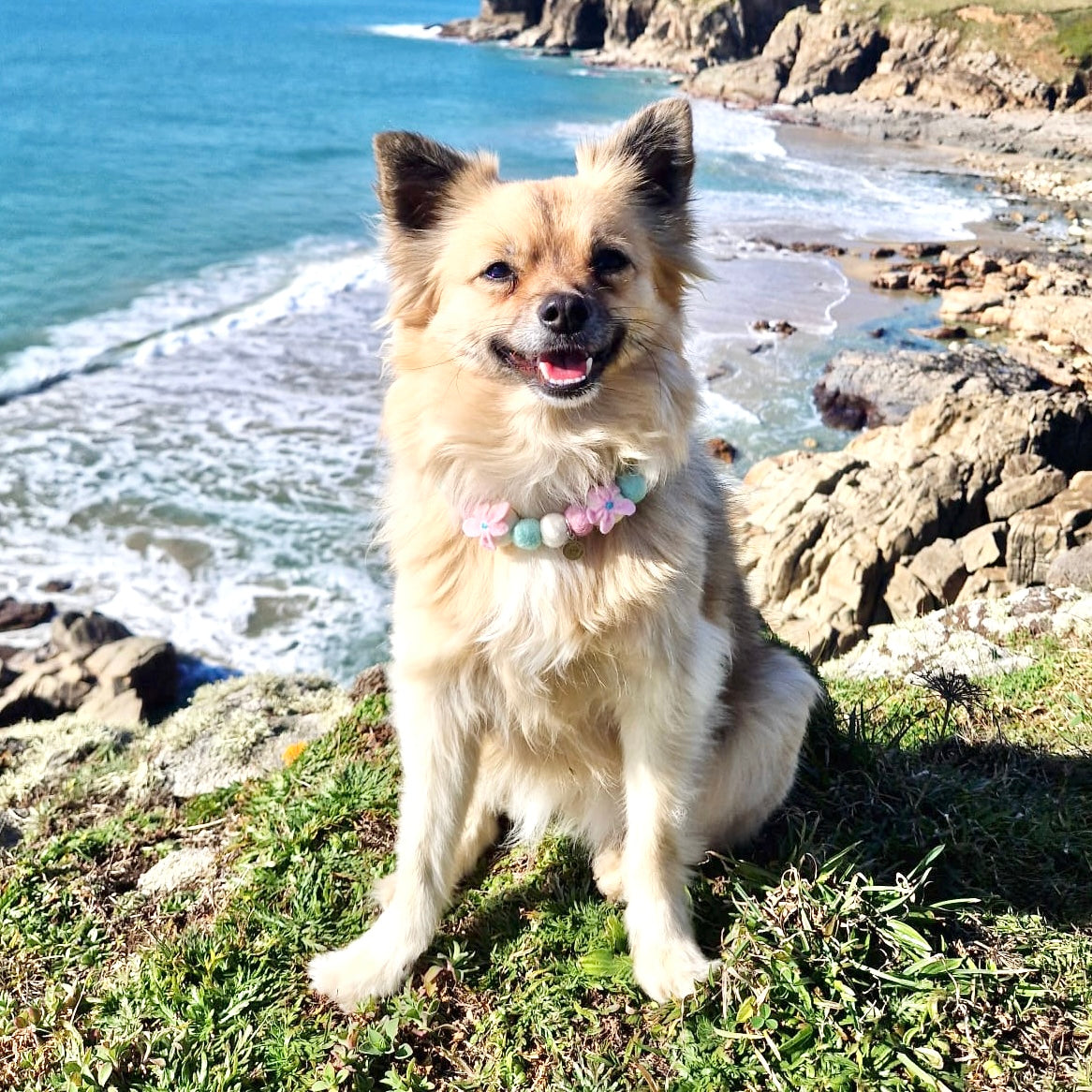 Cherry Blossom Pom Pom Collar